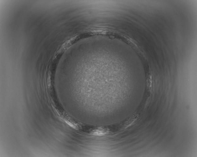 X0000079580504200612081539