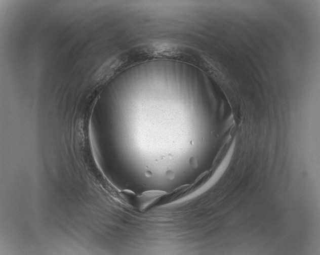 X0000079580506200612081539