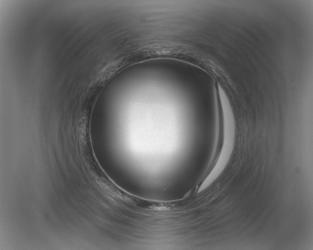 X0000079580509200612081539