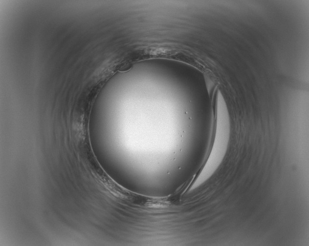 X0000079580510200612081539