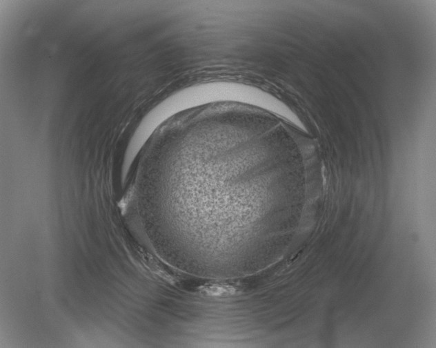 X0000079580512200612081539