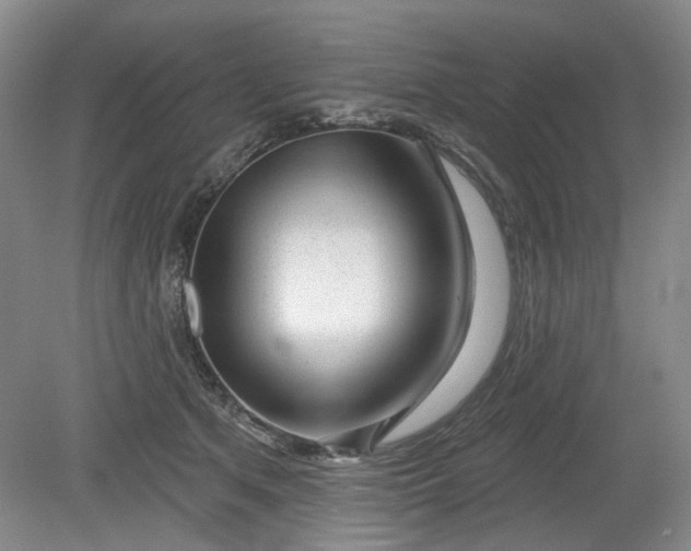X0000079580513200612081539