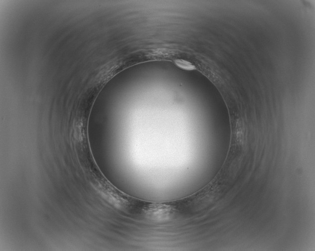 X0000079580514200612081539