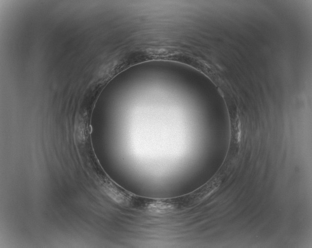 X0000079580515200612081539