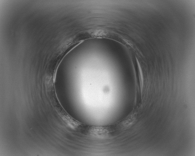 X0000079580521200612081538