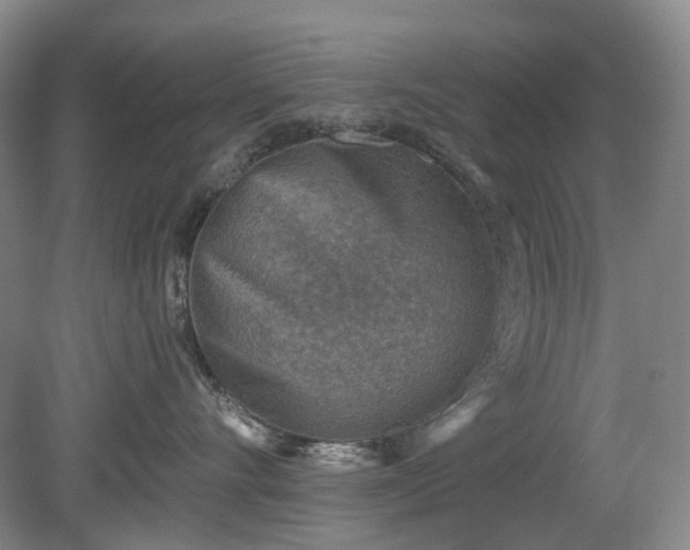 X0000079580528200612081538