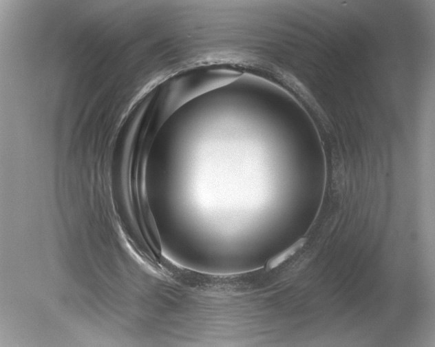 X0000079580530200612081538