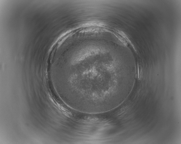 X0000079580531200612081538