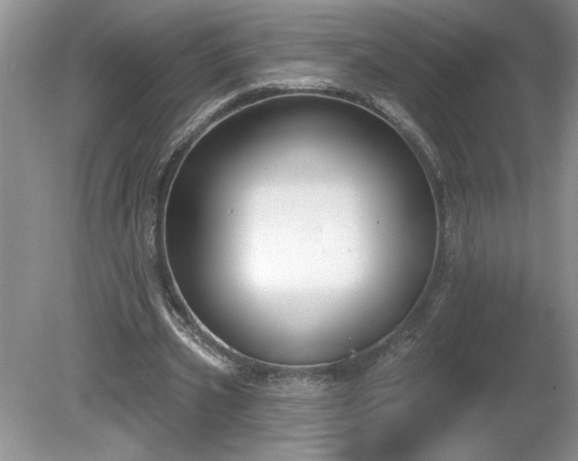 X0000079580533200612081538