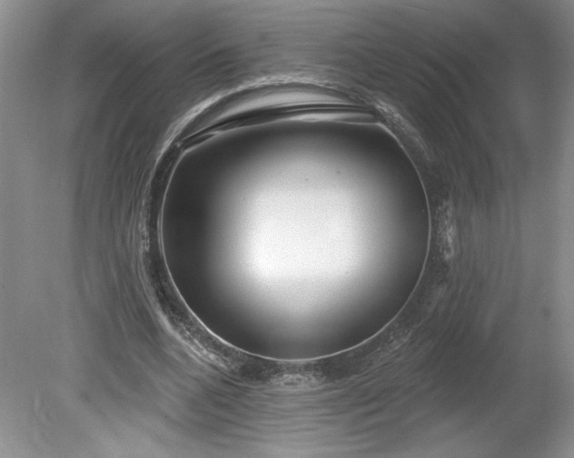 X0000079580536200612081538