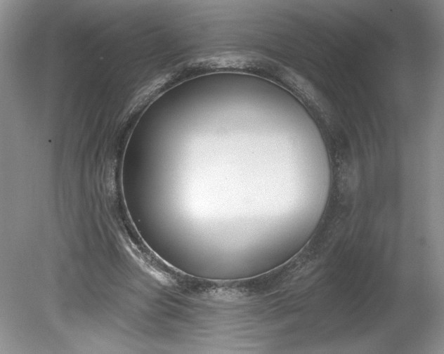 X0000079580537200612081538