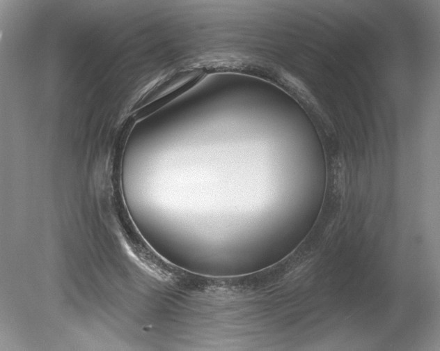 X0000079580538200612081538