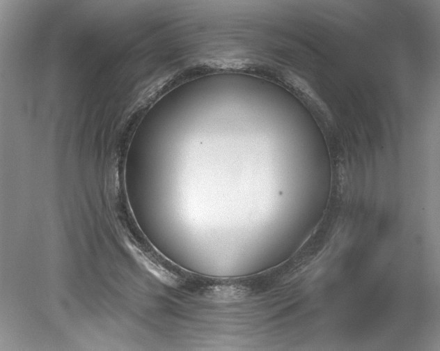 X0000079580541200612081538