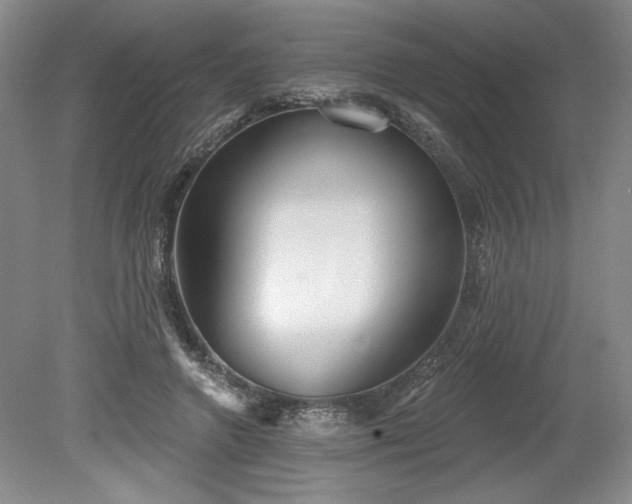 X0000079580546200612081538