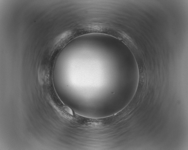 X0000079580552200612081538