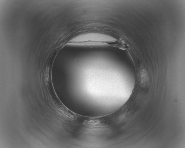 X0000079580554200612081538