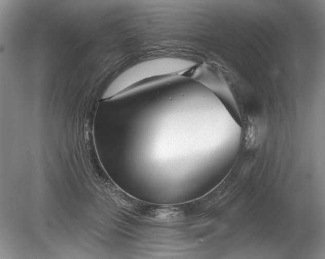 X0000079580555200612081538