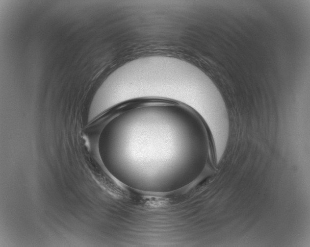 X0000079580560200612081538