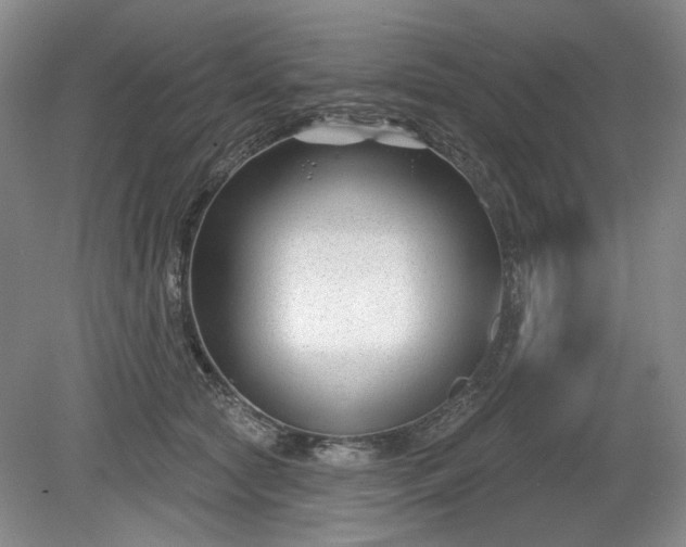 X0000079580561200612081538