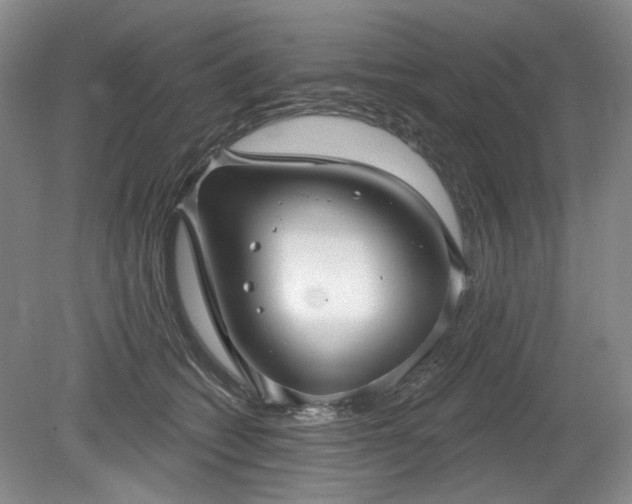X0000079580562200612081538