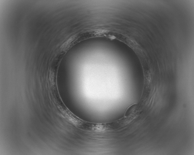 X0000079580565200612081538