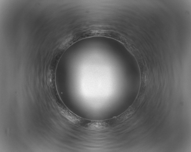 X0000079580567200612081538
