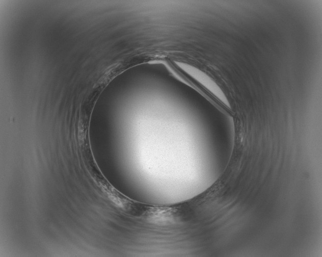 X0000079580569200612081538