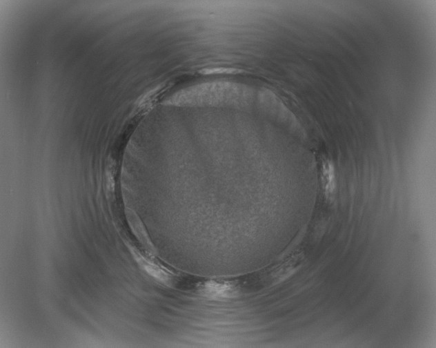 X0000079580570200612081538
