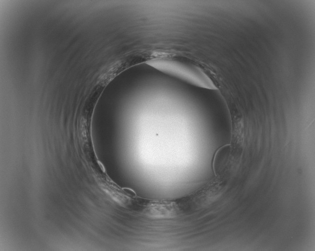X0000079580571200612081538
