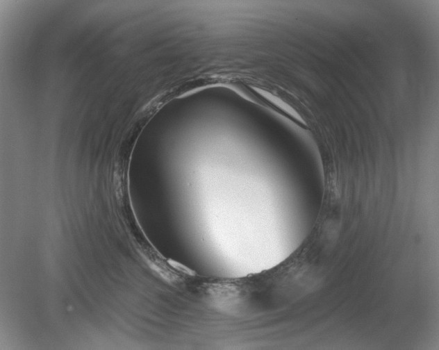 X0000079580572200612081538