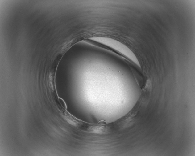 X0000079580575200612081538