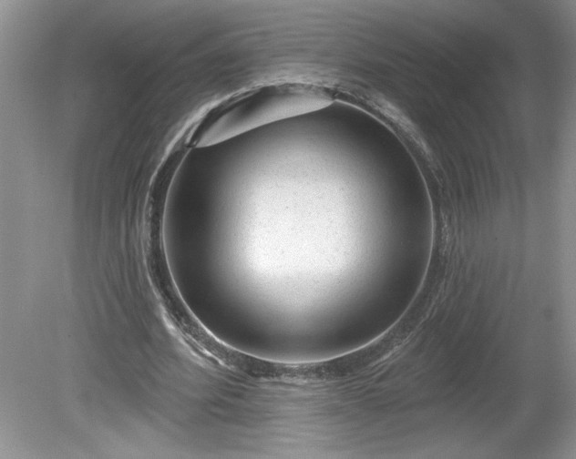 X0000079580580200612081537