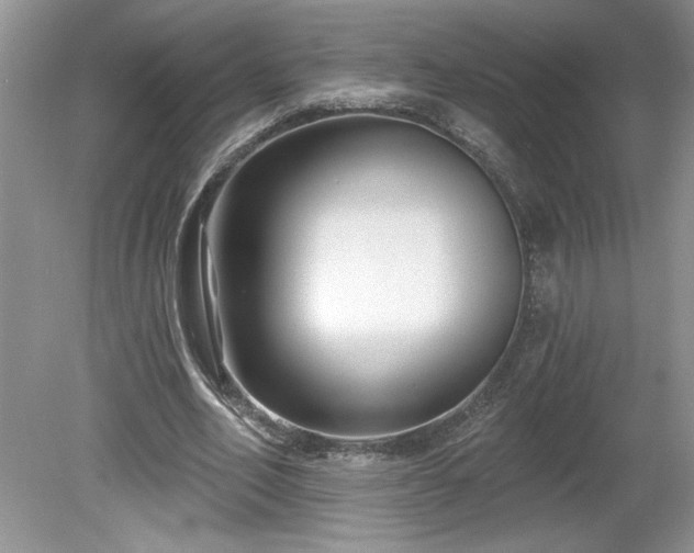X0000079580582200612081537