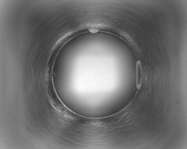 X0000079580583200612081537