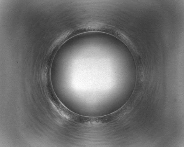 X0000079580586200612081537