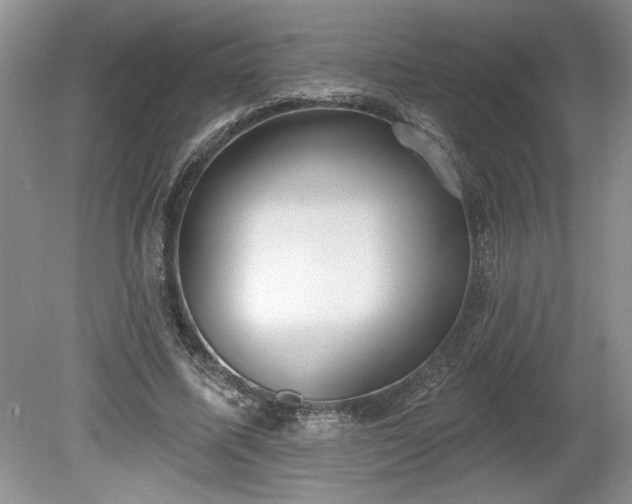 X0000079580587200612081537