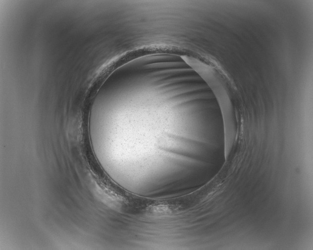 X0000079580588200612081537