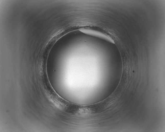 X0000079580591200612081537