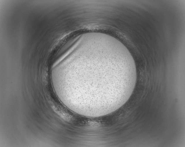 X0000079580592200612081537