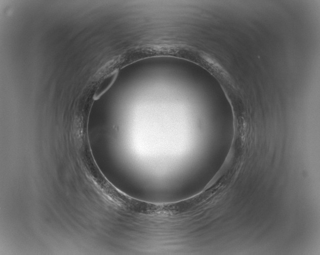 X0000079580593200612081537