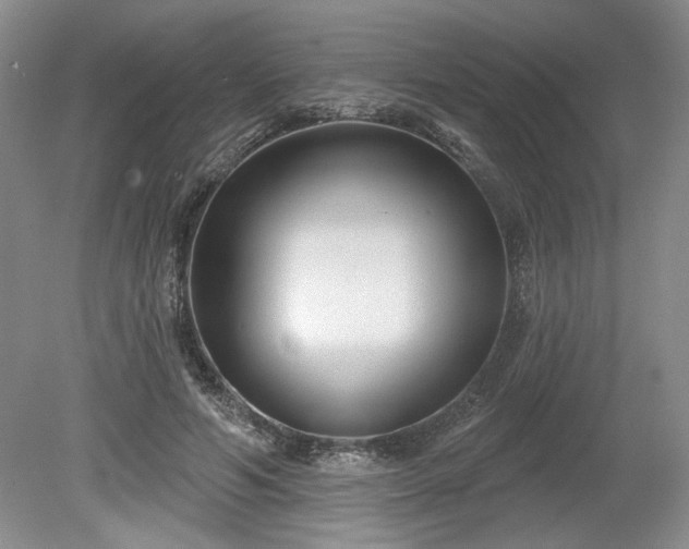 X0000079580594200612081537