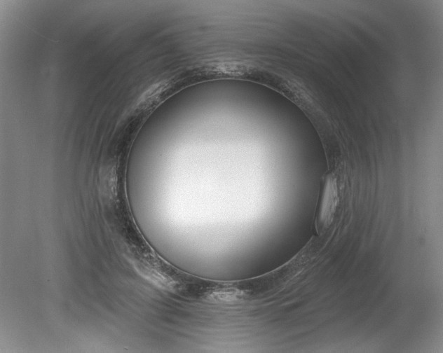X0000079580595200612081537