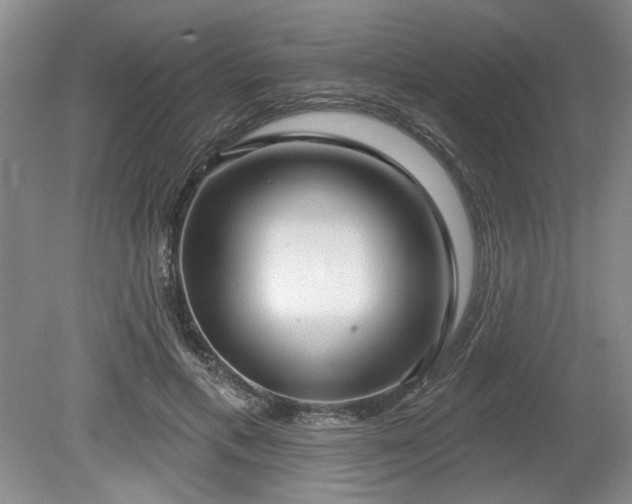 X0000079580597200612081537