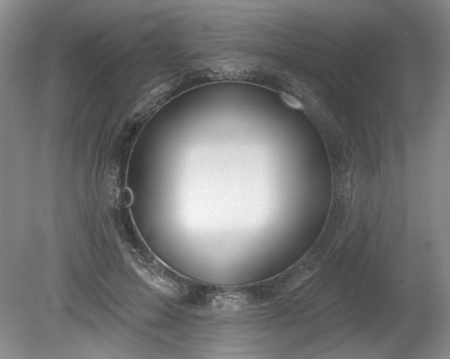 X0000079580599200612081537