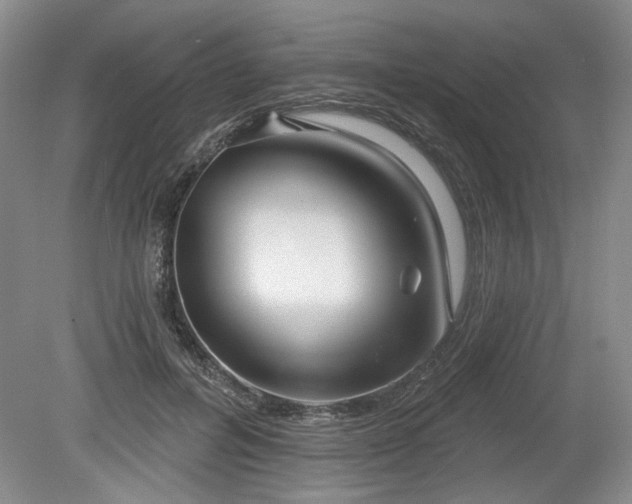 X0000079580600200612081537