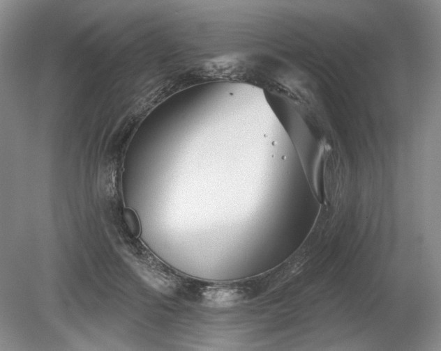 X0000079580602200612081537