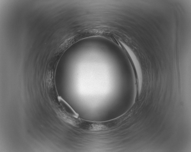 X0000079580605200612081537
