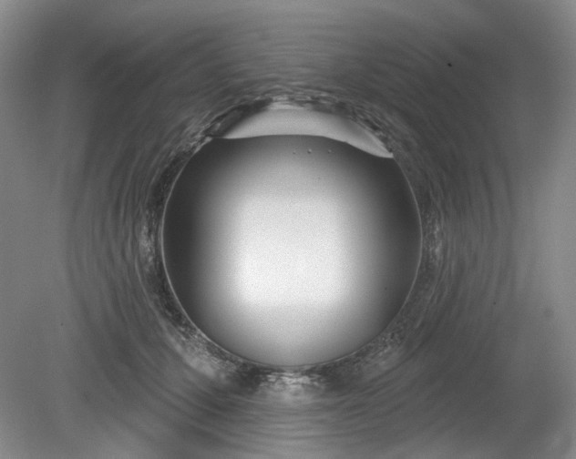 X0000079580607200612081537