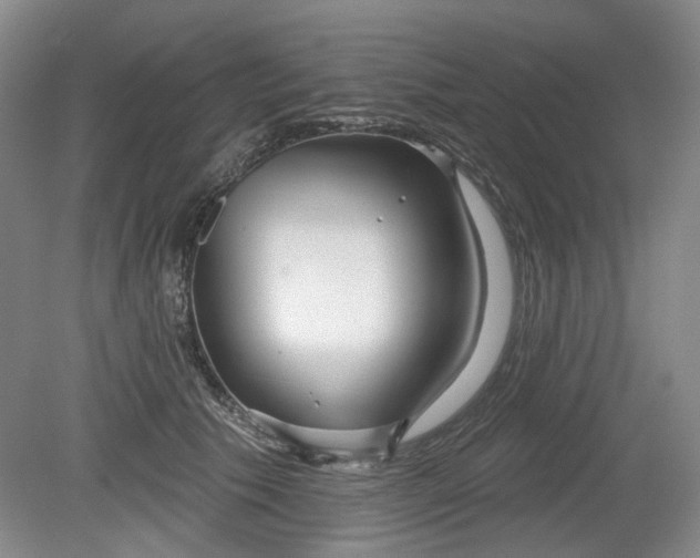 X0000079580609200612081537