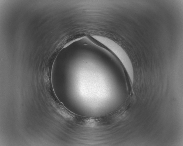 X0000079580616200612081537